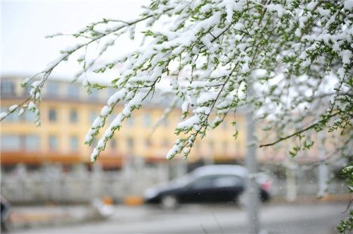 四川红原大草原迎来初夏大雪