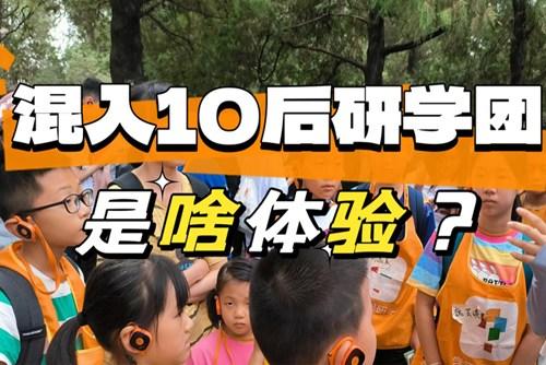 90后大龄儿童混进10后研学团，被教育了……